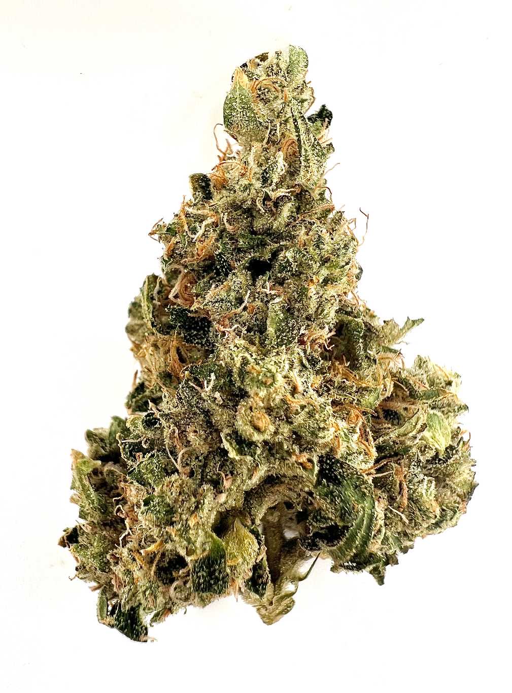 Durban (Sativa)