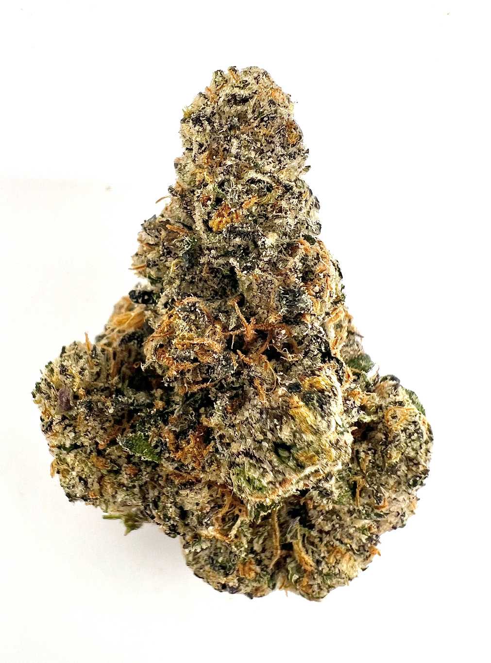 Lemon Cherry Jealousy (Hybrid)
