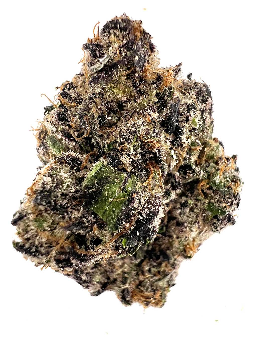 Blue Pebbles (Hybrid)