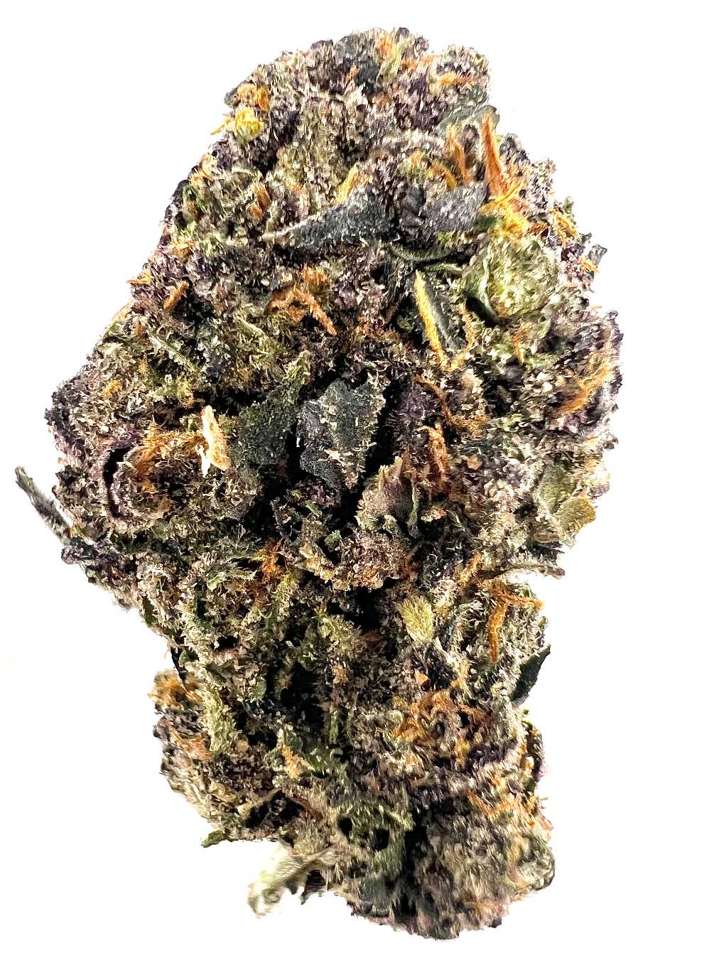 Loud Mouth (Hybrid)