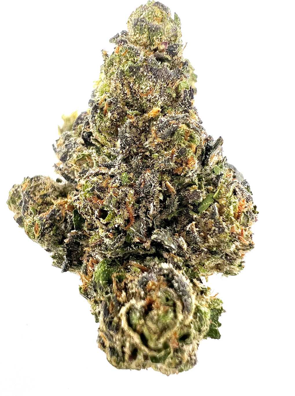 Gelatti (Hybrid)