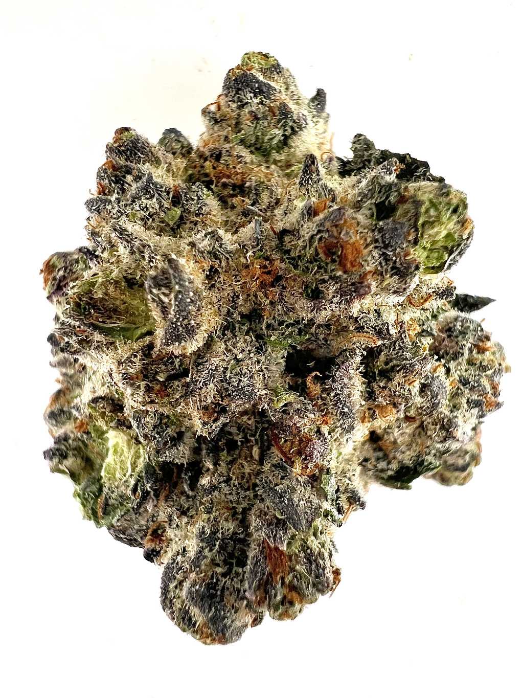 Black Ice (Indica)