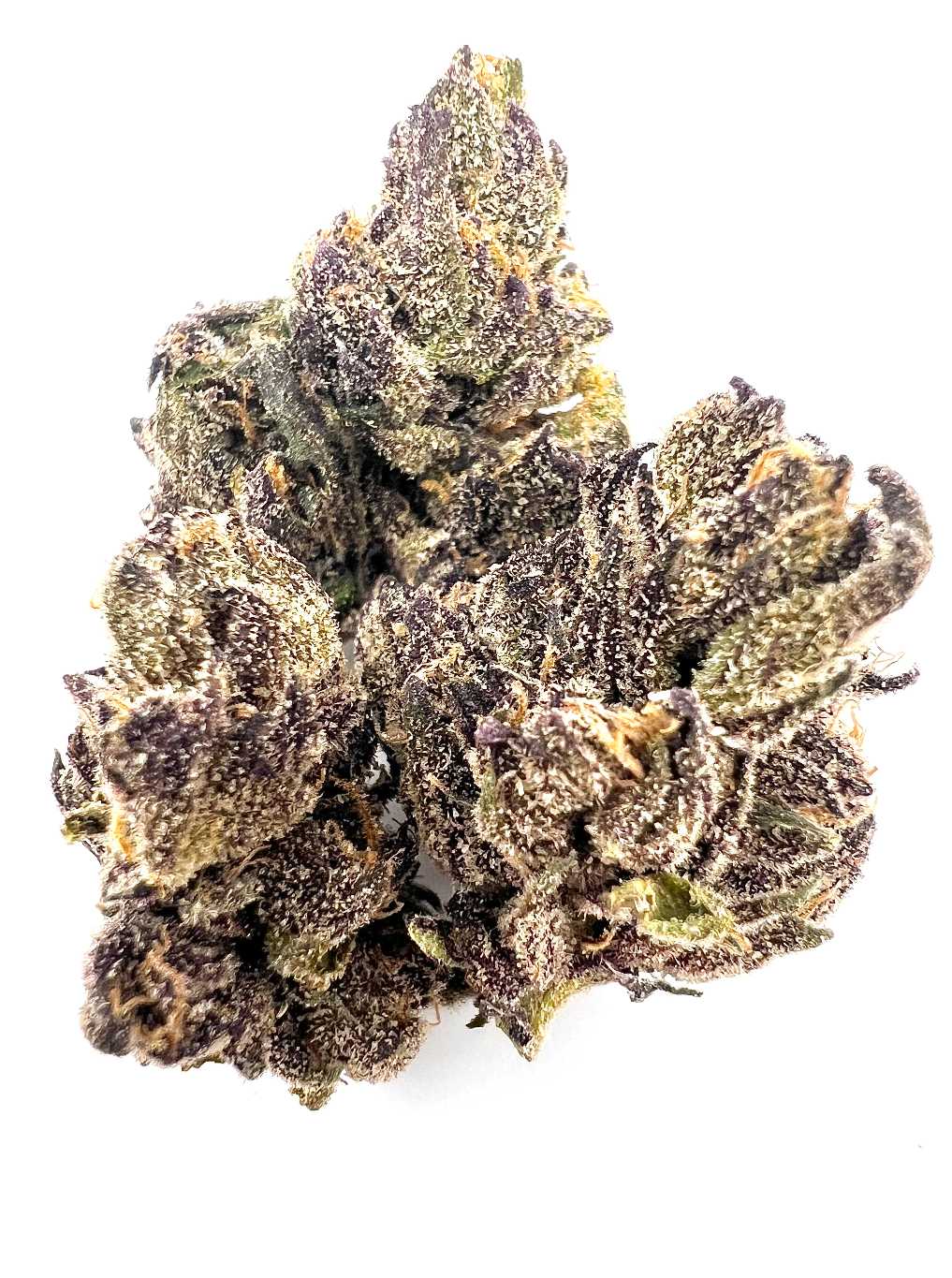 Orange Maltz (Sativa)